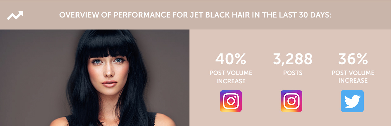 Jet Black Hair | Kadus Professional
