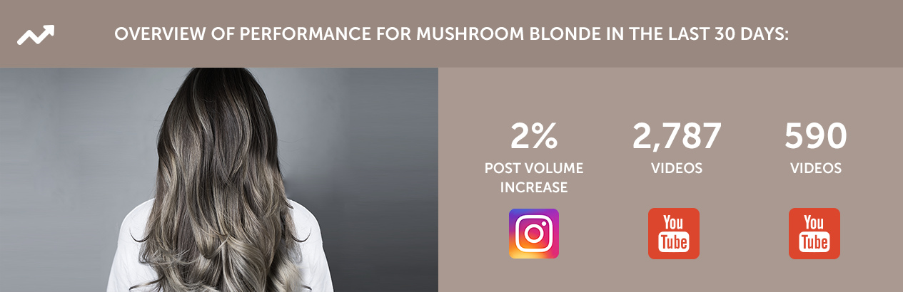 Mushroom Blonde